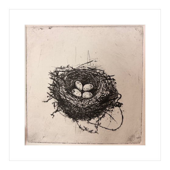 Etching of a bird's nest with three speckled eggs